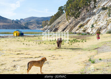 Le village rural de Challapampa sur l'île du soleil, lac Titicaca, parmi les plus intéressants de destinations de voyage en Bolivie. Concept de c local Banque D'Images