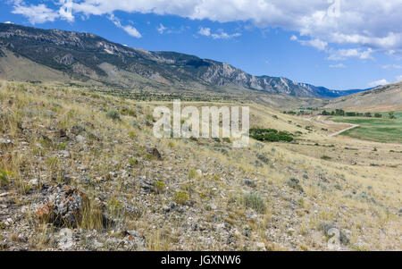 Boîtier robuste et aride des prairies et paysage vallonné du parc d'état de Buffalo Bill montrant les montagnes rocheuses en été près de Cody, Wyoming, USA. Banque D'Images