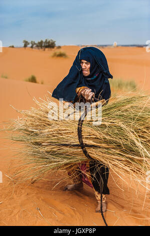 Vieille Femme berbère travailler seul sur une dune de sable à Merzouga, Maroc Banque D'Images