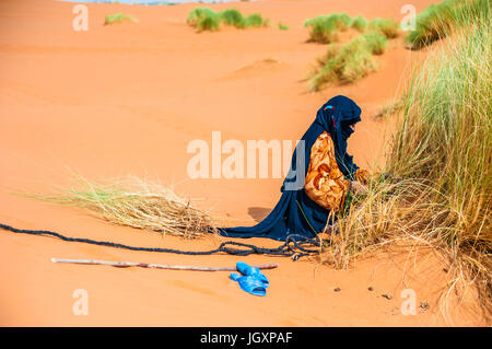 Vieille Femme berbère travailler seul sur une dune de sable à Merzouga, Maroc Banque D'Images