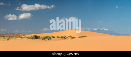 Dunes de sable dans le désert peint avec vue vers le San Francisco Peaks, nord de l'Arizona, USA Banque D'Images