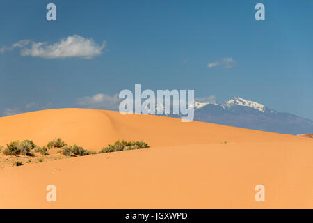 Dunes de sable dans le désert peint avec vue vers le San Francisco Peaks, nord de l'Arizona, USA Banque D'Images