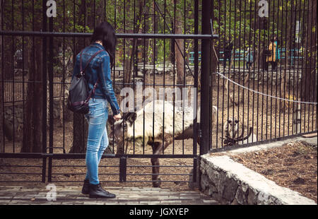 Femme alimente un chevreuil dans une ferme par une clôture. Une jeune fille se promène dans le zoo et regarder les animaux. Banque D'Images