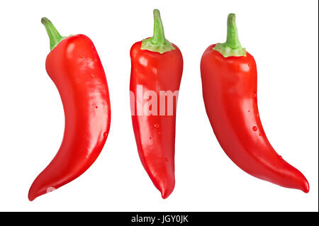 La cire chaude ou Paprika chili piment (Capsicum annuum), suspendu, les gousses entières. Chemins de détourage pour chaque pepper Banque D'Images