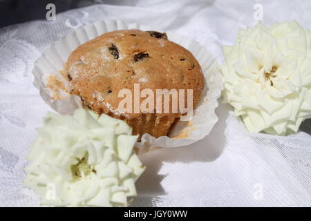 Beau muffin appétissant avec raisin dans vase blanc avec des roses blanches tentation dans l'alimentation Banque D'Images