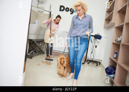 Femme avec cocker animaux salon de toilettage chien laissant Banque D'Images