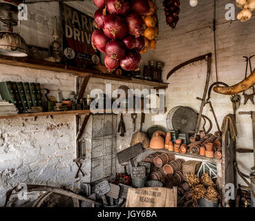 Still Life de divers outils de jardin et les pots de fleurs dans un abri de jardin pour l'affichage Banque D'Images