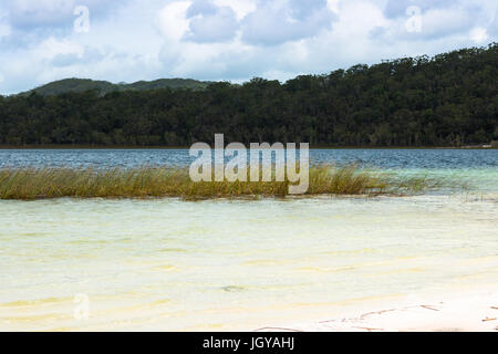 Le Lac McKenzie, Fraser Island, UNESCO World Heritage Site, Queensland, Australie. Banque D'Images