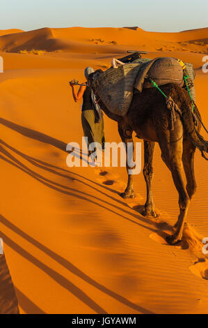 Conduit par la femme camel dunes de l'Erg Chebbi sur le Sahara dans l'est du Maroc Banque D'Images