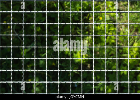 Pont piétonnier au-dessus de la grille de l'herbe verte, abstract background Banque D'Images