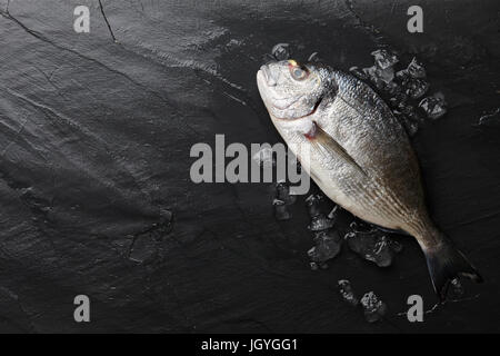 Matières premières fraîches poissons daurade à la rock Banque D'Images