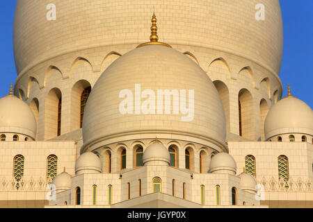 Dome. La Mosquée Sheikh Zayed. 1995. Émirat d'Abu Dhabi. Banque D'Images