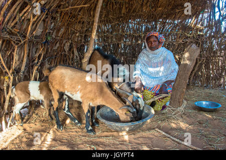 Le bétail Peul herder. Le Sénégal. Banque D'Images