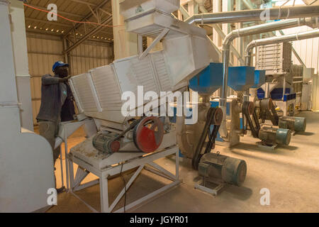 Usine de traitement du riz et d'emballage. Le Sénégal. Banque D'Images