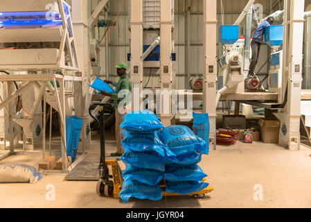 Usine de traitement du riz et d'emballage. Le Sénégal. Banque D'Images