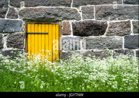 Ancienne grange en pierre porte jaune et fleur naturelle à Mäntyharju, Finlande Banque D'Images