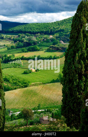 Sur les terres agricoles de Montepulciano, Toscane Banque D'Images