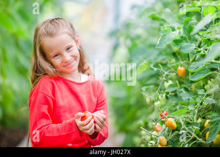 Adorable petite fille la récolte des concombres et des tomates en serre. Portrait d'enfant avec tomate rouge dans les mains. Banque D'Images