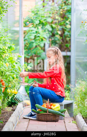 Adorable petite fille la récolte des concombres et des tomates en serre. Portrait d'enfant avec tomate rouge dans les mains. Banque D'Images