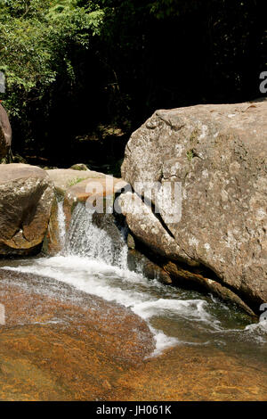 La nature, l'eau, Ilha Grande, Rio de Janeiro, Brésil Banque D'Images