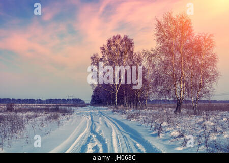 Des traces de voitures sur une route rurale couverte de neige dans un champ en hiver Banque D'Images