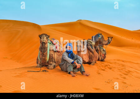 Pilote de chameaux entre dunes du désert (Sahara) Banque D'Images