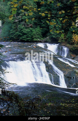 Milieu Lewis River Falls, Gifford Pinchot National Forest, Washington Banque D'Images