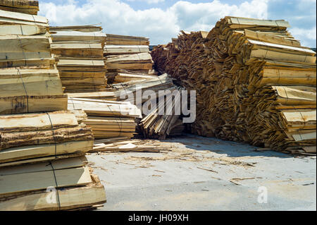 Plusieurs pieux de bois bruts empilés sur le sol sous le soleil en face d'une scierie. Banque D'Images