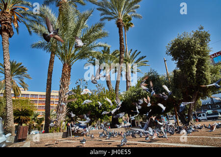 Tel Aviv - 10.02.2017 : Célèbre Itzhak Rabin Square, 24 fois Banque D'Images