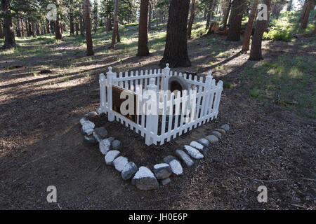 Un monument à Julia Townsend, un Mammoth Lakes pionnière qui est mort dans ce qui était alors appelé Mill City durant l'hiver rigoureux de 1882. Banque D'Images