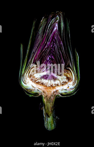 Couper les têtes d'Artichaut sur fond noir Banque D'Images