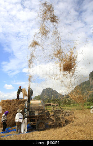 L'agriculture. Champ de riz. Lao farmer la récolte du riz en milieu rural paysage. Le Laos. Banque D'Images