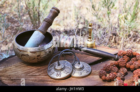 Bol chantant tibétain religieux et d'autres instruments de musique pour méditation et relaxation sur un moignon de bois dans le contexte de la nature Banque D'Images