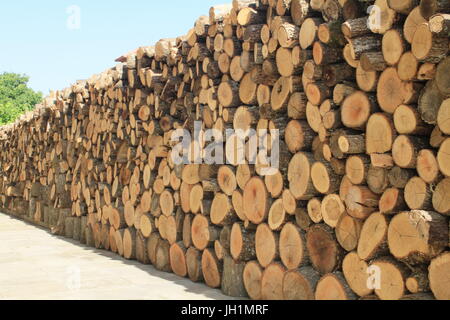 Un mur de bois de chauffage, grumes empilées et long à sécher au soleil. Banque D'Images