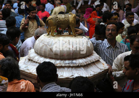 Culte à l'intérieur de Shri Bankey Bihari Mandir, un temple hindou dédié à Krishna dans la ville sainte de Vrindavan, Uttar Pradesh. L'Inde. Banque D'Images