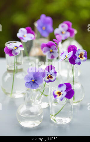 Fleur sur la verrerie en chimie, décoration de table de jardin Banque D'Images