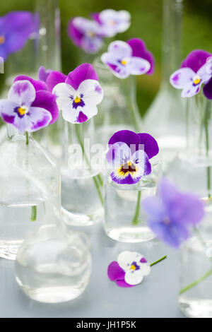 Fleur sur la verrerie en chimie, décoration de table de jardin Banque D'Images