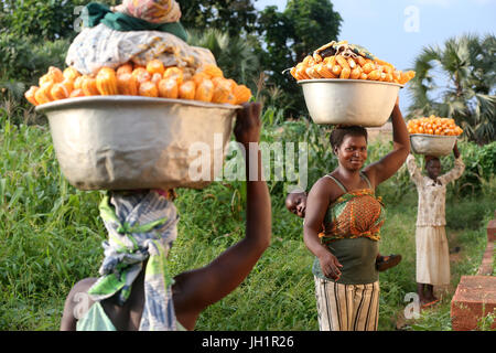 Les femmes exerçant son assiette avec le maïs en tête. Le Togo. Banque D'Images