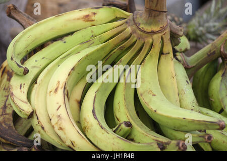 Marché de fruits d'Afrique. Les bananes. Lome. Le Togo. Banque D'Images