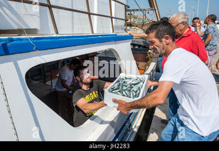 Les sardines étant déchargé d'un bateau de pêche dans le port de pêche de Sciacca Southerm en Sicile, Italie. Banque D'Images