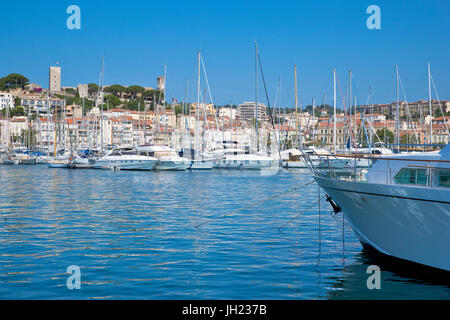 Vieux Port, Le Suquet, Cannes, France Banque D'Images