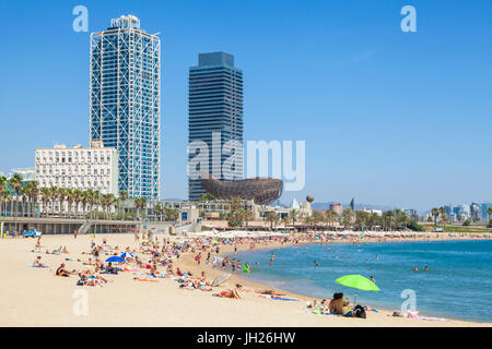 Les gens en train de bronzer sur la plage de Barcelone, Barceloneta, Barcelone, Catalogne (Catalunya), Espagne, Europe Banque D'Images