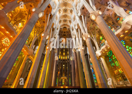 La Sagrada Familia, la basilique intérieur avec des vitraux par Antoni Gaudi, l'UNESCO, Barcelone, Catalogne, Espagne Banque D'Images