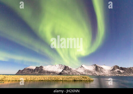 Northern Lights sur les sommets enneigés et la mer de glace le long Mefjorden vu depuis le village de Mefjordvaer, Senja, Troms, Norvège Banque D'Images