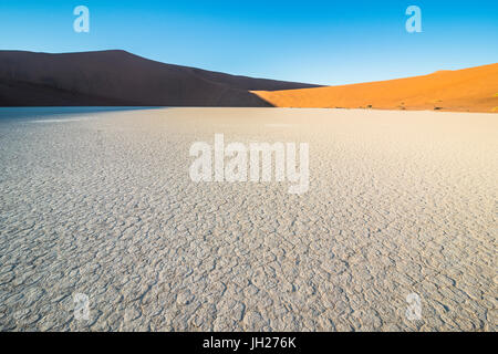 Deadvlei, un ancien lac asséché, dans le désert du Namib, Namibie, Afrique Banque D'Images