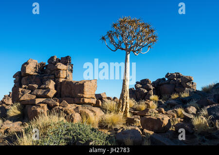 Formations rocheuses inhabituelles, Playground Giants, Keetmanshoop, Namibie, Afrique du Sud Banque D'Images