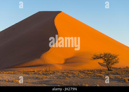 Giant Sand Dune 45, Sossusvlei, Namib-Naukluft National Park, Namibie, Afrique Banque D'Images