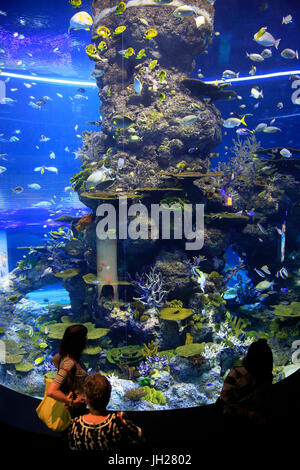 Les touristes à S.E.A. Aquarium. L'île de Sentosa. Singapour. Singapour. Banque D'Images