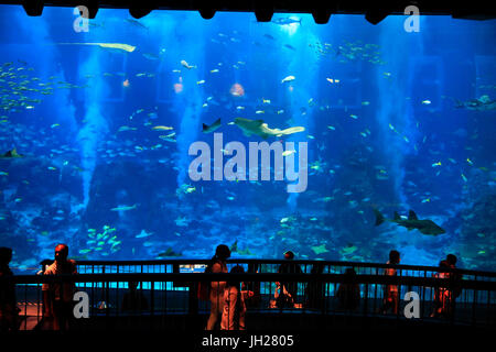 Les touristes à S.E.A. Aquarium. L'île de Sentosa. Singapour. Singapour.