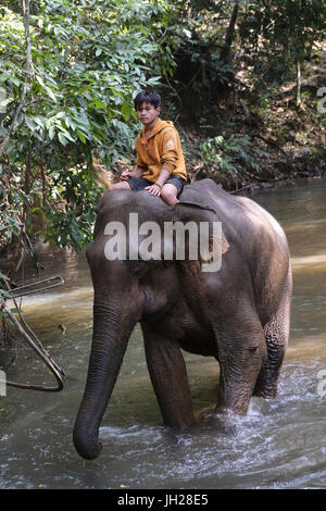 Mahoot équitation l'éléphant, le sanctuaire d'éléphants, Mondulkiri, Cambodge, Indochine, Asie du Sud, Asie Banque D'Images